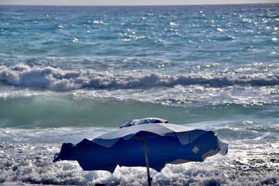 Scenic view of beach