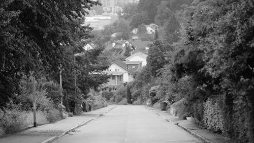 Road amidst trees and buildings in city