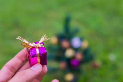 Cropped hand of person holding gift box