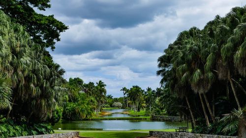 Scenic view of lake amidst trees against sky