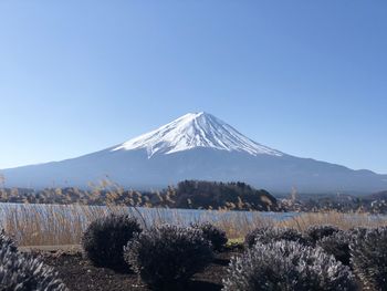 Scenic view of snowcapped mountains against clear blue sky