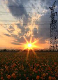 Electricity pylons on field