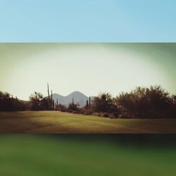 Scenic view of grassy field against sky