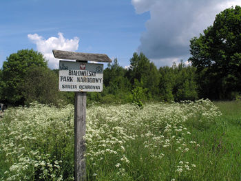 Information sign on grass against sky