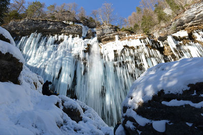 Panoramic view of trees on snow covered landscape