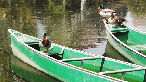 High angle view of birds on lake