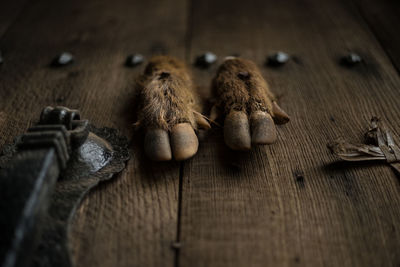 High angle view of goat legs on table