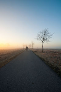 Rear view of man riding bicycle on road against sky during sunset