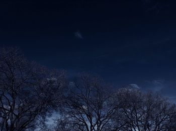 Low angle view of bare trees against sky