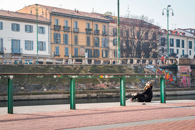 View of a dog in city