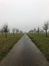 Road amidst field against clear sky