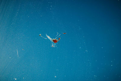 Low angle view of person paragliding over sea