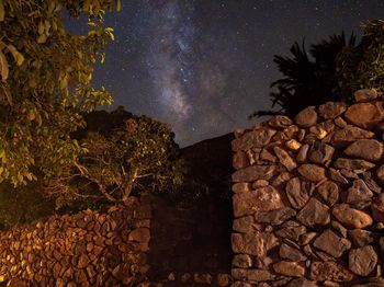 View of trees in forest against sky at night