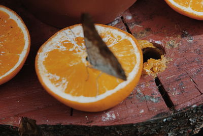 High angle view of orange slices on table