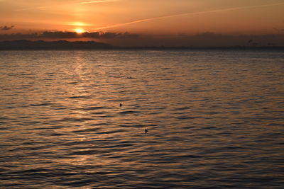 Scenic view of sea during sunset