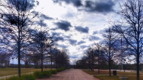 Road amidst trees against sky