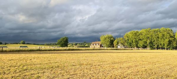 Scenic view of agricultural field against sky