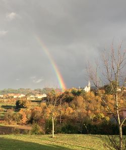 Scenic view of rainbow over trees on field against sky