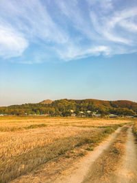 Scenic view of landscape against sky