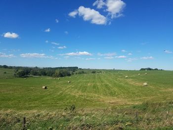 Hay bales on field against blue sky