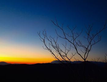 Silhouette bare tree against sky during sunset