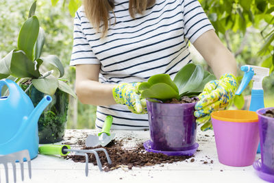 High angle view of woman holding potted plant