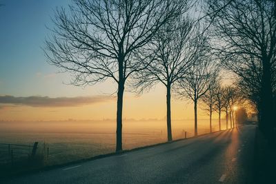 Silhouette bare trees by road against sky during sunset