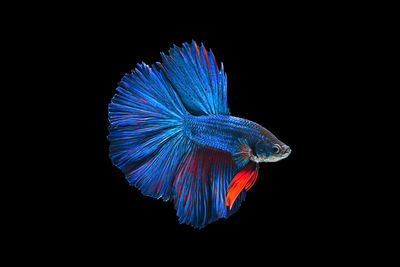 View of illuminated lights at night