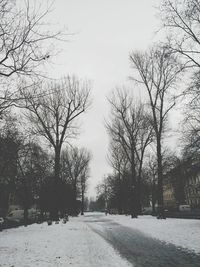 Trees against sky during winter