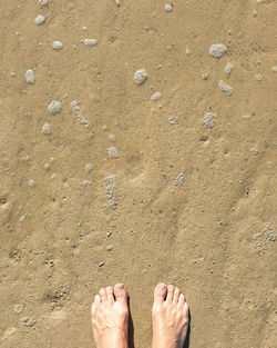 Low section of person standing on sand