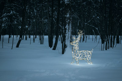 Deer among trees on snow covered field during winter 