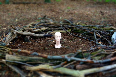 Mannequin amidst twigs on field