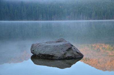 Close-up of reflection in lake against sky