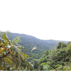 Scenic view of mountains