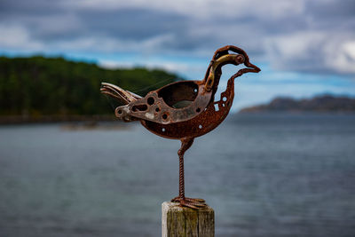 Close-up of a bird sculpture