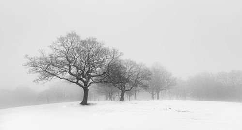 Bare trees on snow covered field against clear sky