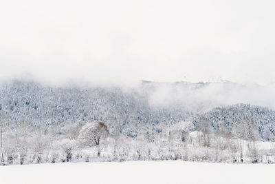 Scenic view of snow covered field against sky