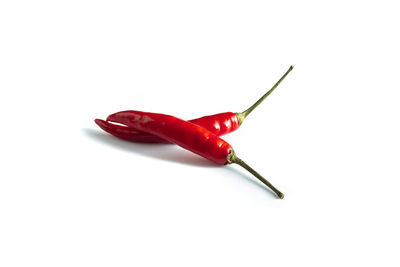 Close-up of red chili pepper against white background