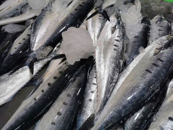 Full frame shot of fish for sale in market