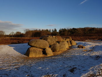 Rocks and trees against sky