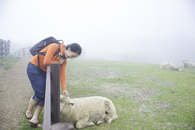 Side view of smiling woman stroking sheep at farm during foggy weather