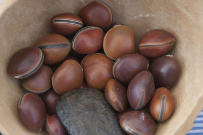 High angle view of eggs in container