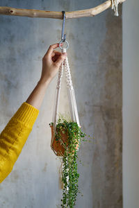 Woman holding macrame plant hanger with houseplant peperomia over grey wall. hobby, love of plants