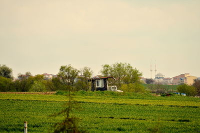 Scenic view of grassy field against cloudy sky