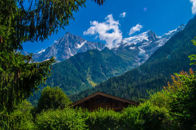 Scenic view of trees and mountains against sky