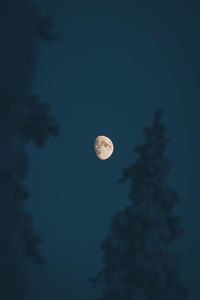 Low angle view of moon against sky