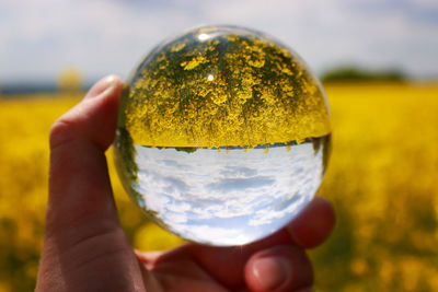 Cropped hand holding crystal ball