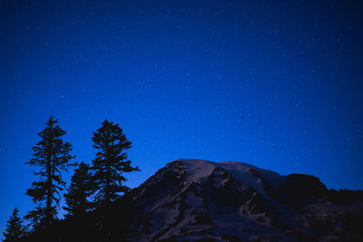 Low angle view of trees against clear blue sky at night