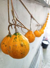 High angle view of oranges on table