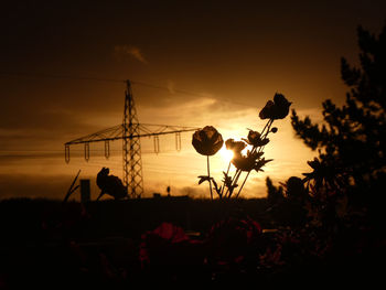 Silhouette plants on field against sky during sunset